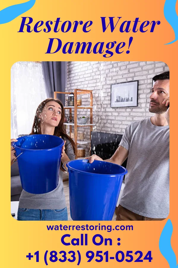 water restoration Total Water Solutions Force Wilkesville
