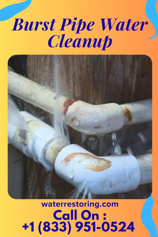 Burst Pipe Water Cleanup in Wilkesville, OH
