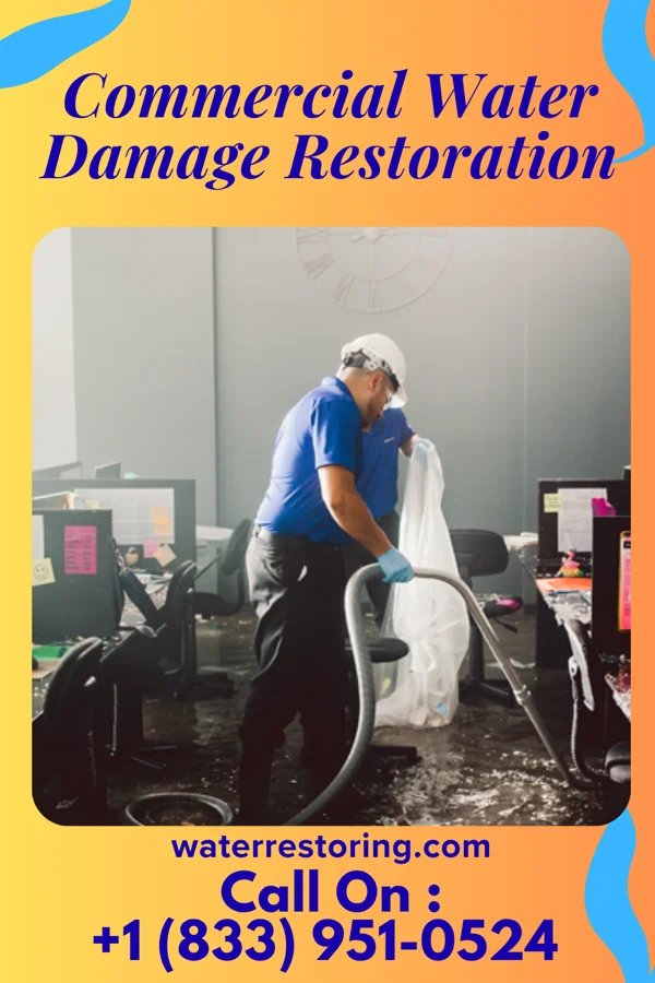 Commercial Water Damage Restoration in Wilkesville, OH