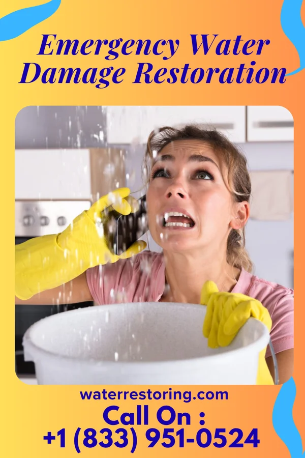 Emergency Water Damage Restoration in Wilkesville, OH