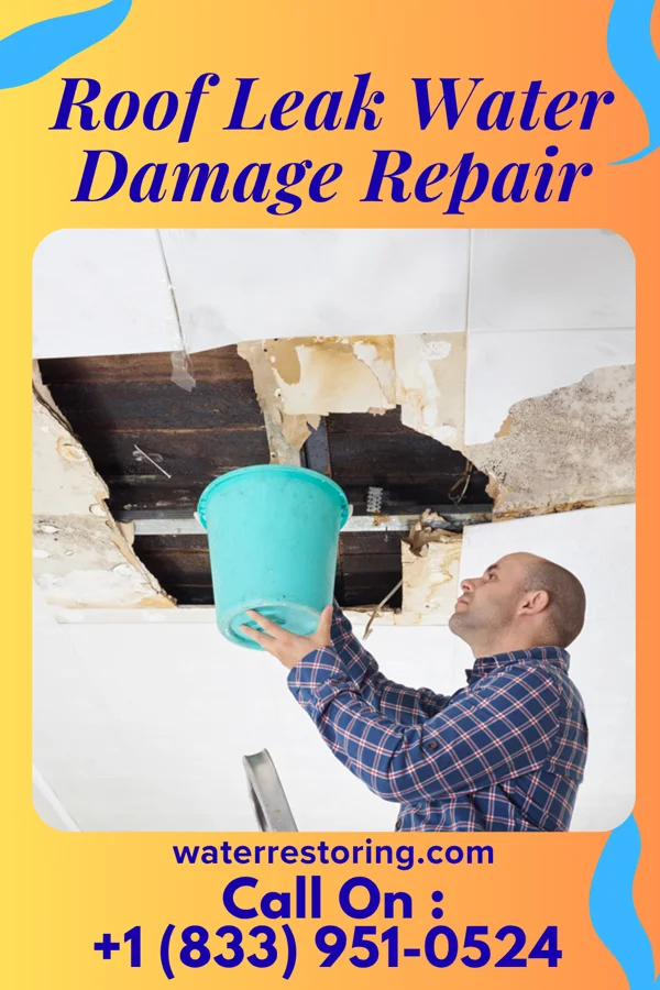 Roof Leak Water Damage Repair in Wilkesville, OH