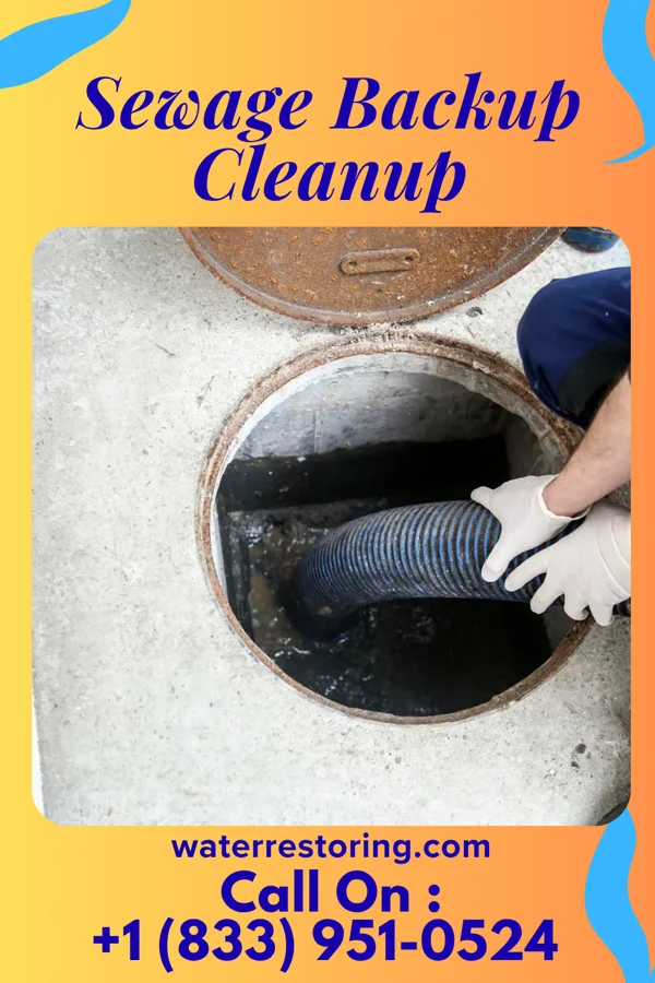 Sewage Backup Cleanup in Wilkesville, OH
