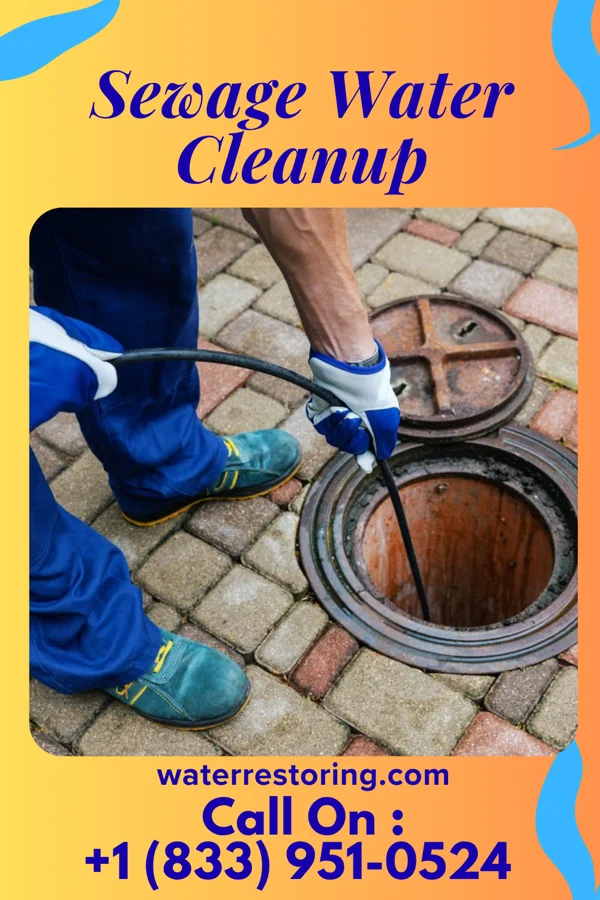 Sewage Water Cleanup in Wilkesville, OH