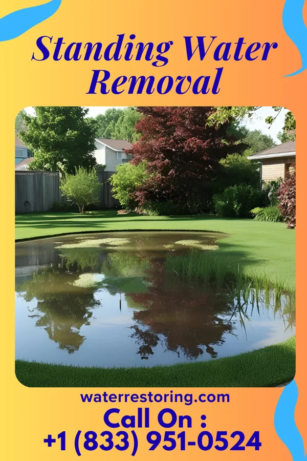 Standing Water Removal in Wilkesville, OH